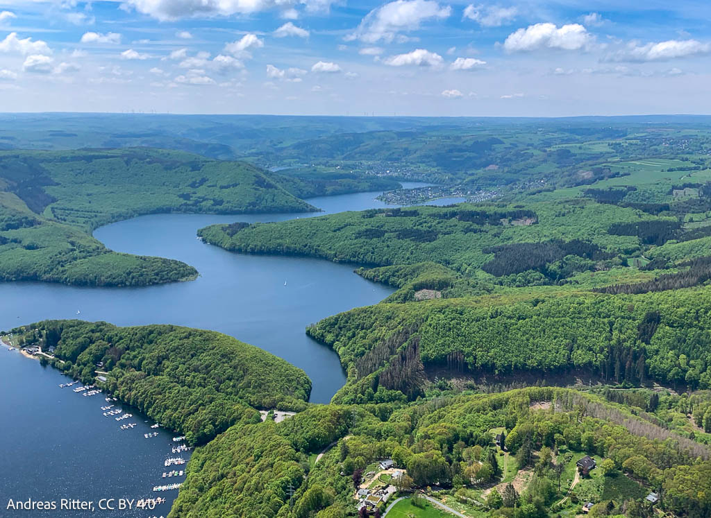 beautiful lake in a forest